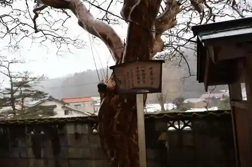 普賢院(島根県)