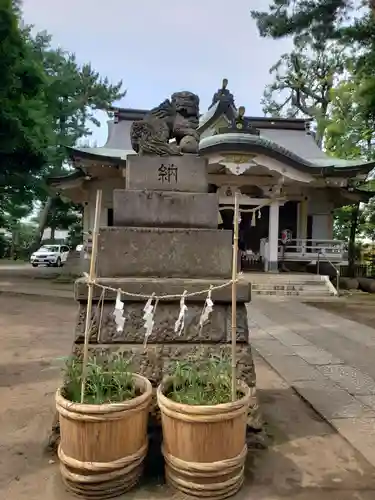 天沼八幡神社の狛犬