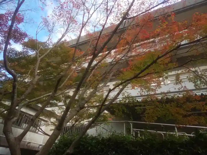 宗像大社のその他建物