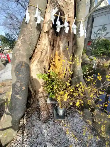 秩父今宮神社の自然