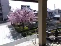 浄得寺(福井県)