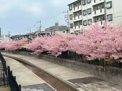 長円寺(京都府)