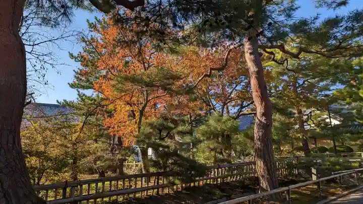 大覚寺(京都府)