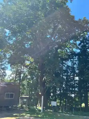 光清寺(山形県)