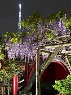 亀戸天神社(東京都)