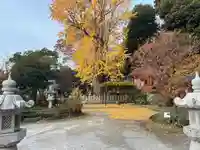 瀧泉寺(目黒不動尊)(東京都)