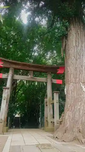 下総国三山　二宮神社の鳥居