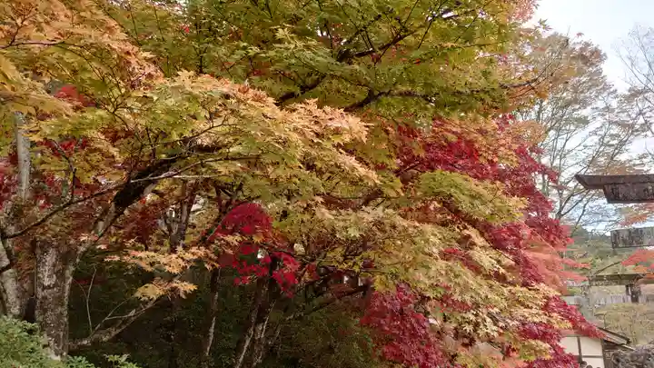 古峯神社の自然