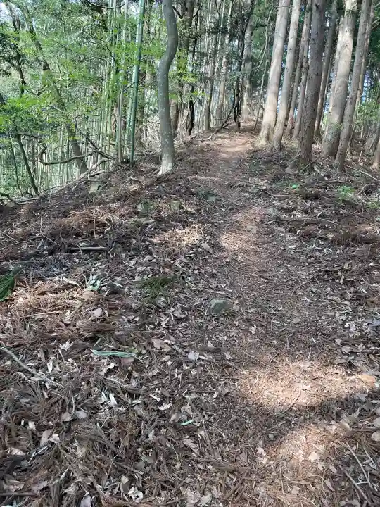 柳津虚空蔵尊 寳性院の{uncategorized: "未分類", other: "その他", undefined: "問題あり", building: "その他建物", grave: "お墓", sacred_gate: "鳥居", guardian: "狛犬", statue: "像", buddha: "仏像", history: "歴史", nature: "自然", garden: "庭園", animal: "動物", pagoda: "塔", temizu: "手水舎", mountain_gate: "山門・神門", sanctuary: "本殿・本堂", subordinate: "末社・摂社", art: "芸術", scenery: "景色", jizo: "地蔵", ema: "絵馬", goshuin: "御朱印", omikuji: "おみくじ", items: "授与品その他", amulet: "お守り", goshuincho: "御朱印帳", eats: "食事", festival: "お祭り", votive_dance: "神楽", shichigosan: "七五三参", wedding: "結婚式", experience: "体験その他", initially: "初詣", around: "周辺", anti_infection: "感染症対策"}