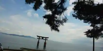 白鬚神社の鳥居