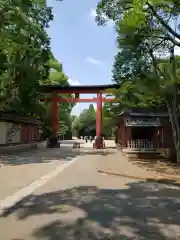 武蔵一宮氷川神社の鳥居