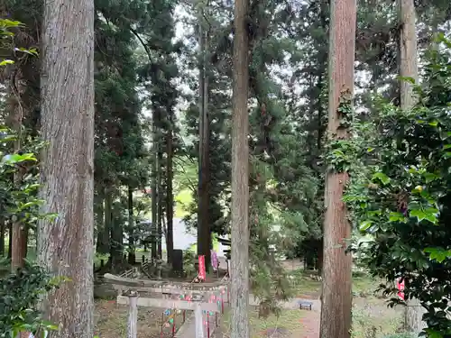 大宮温泉神社(栃木県)