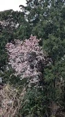 東蓮寺(福岡県)