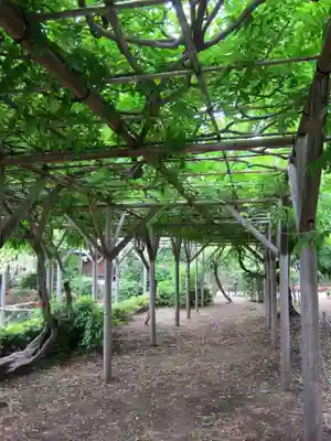 亀戸天神社(東京都)