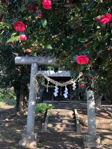 弘経寺の鳥居