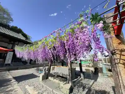 寺岡山元三大師の{uncategorized: "未分類", other: "その他", undefined: "問題あり", building: "その他建物", grave: "お墓", sacred_gate: "鳥居", guardian: "狛犬", statue: "像", buddha: "仏像", history: "歴史", nature: "自然", garden: "庭園", animal: "動物", pagoda: "塔", temizu: "手水舎", mountain_gate: "山門・神門", sanctuary: "本殿・本堂", subordinate: "末社・摂社", art: "芸術", scenery: "景色", jizo: "地蔵", ema: "絵馬", goshuin: "御朱印", omikuji: "おみくじ", items: "授与品その他", amulet: "お守り", goshuincho: "御朱印帳", eats: "食事", festival: "お祭り", votive_dance: "神楽", shichigosan: "七五三参", wedding: "結婚式", experience: "体験その他", initially: "初詣", around: "周辺", anti_infection: "感染症対策"}