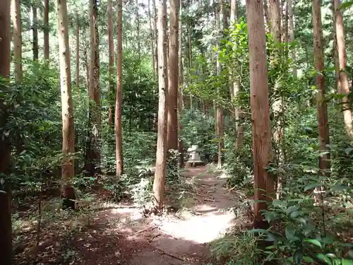 太平山神社の自然