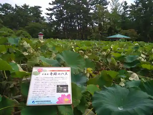 白山神社の庭園