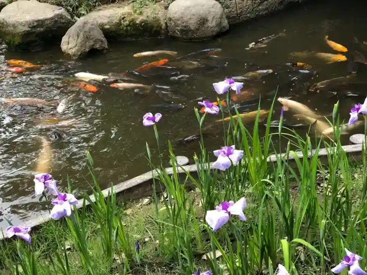 西宮神社(兵庫県)