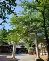 熊野神社の鳥居
