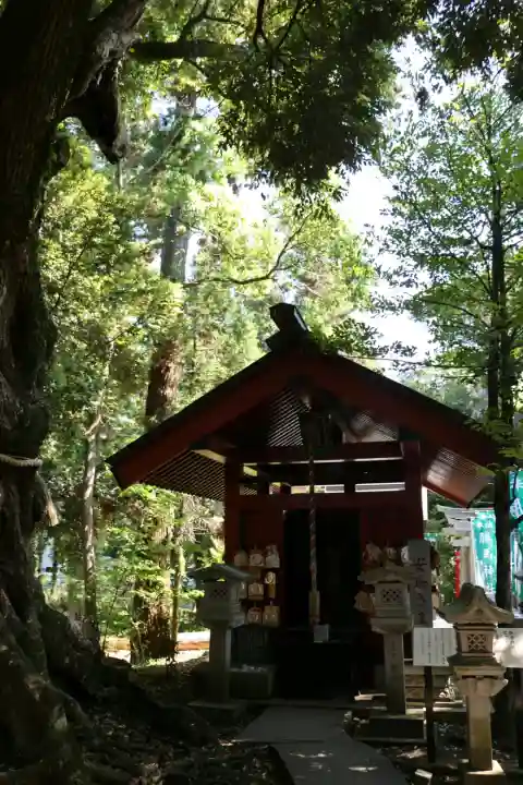 大杉神社(茨城県)
