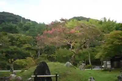 高台寺（高台寿聖禅寺・高臺寺）(京都府)