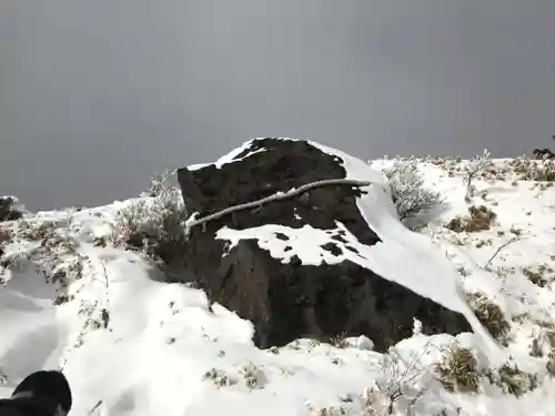 箱根元宮の自然