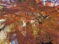 丹生高野明神社(大阪府)