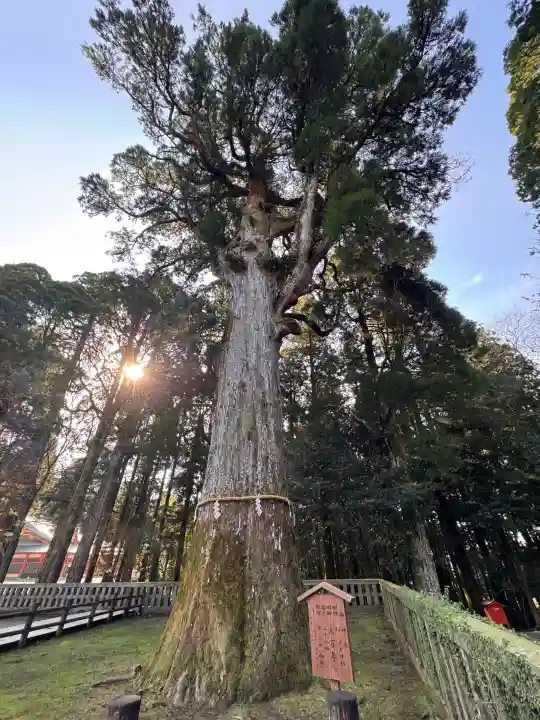 霧島神宮(鹿児島県)