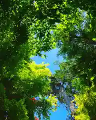 滑川神社 - 仕事と子どもの守り神の自然