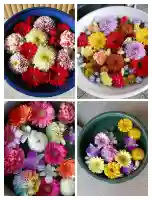 老い呆け来ず地蔵堂の{uncategorized: "未分類", other: "その他", undefined: "問題あり", building: "その他建物", grave: "お墓", sacred_gate: "鳥居", guardian: "狛犬", statue: "像", buddha: "仏像", history: "歴史", nature: "自然", garden: "庭園", animal: "動物", pagoda: "塔", temizu: "手水舎", mountain_gate: "山門・神門", sanctuary: "本殿・本堂", subordinate: "末社・摂社", art: "芸術", scenery: "景色", jizo: "地蔵", ema: "絵馬", goshuin: "御朱印", omikuji: "おみくじ", items: "授与品その他", amulet: "お守り", goshuincho: "御朱印帳", eats: "食事", festival: "お祭り", votive_dance: "神楽", shichigosan: "七五三参", wedding: "結婚式", experience: "体験その他", initially: "初詣", around: "周辺", anti_infection: "感染症対策"}