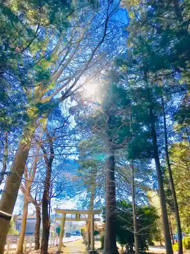 岡見八坂神社の鳥居