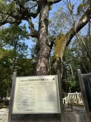 伊弉諾神宮の{uncategorized: "未分類", other: "その他", undefined: "問題あり", building: "その他建物", grave: "お墓", sacred_gate: "鳥居", guardian: "狛犬", statue: "像", buddha: "仏像", history: "歴史", nature: "自然", garden: "庭園", animal: "動物", pagoda: "塔", temizu: "手水舎", mountain_gate: "山門・神門", sanctuary: "本殿・本堂", subordinate: "末社・摂社", art: "芸術", scenery: "景色", jizo: "地蔵", ema: "絵馬", goshuin: "御朱印", omikuji: "おみくじ", items: "授与品その他", amulet: "お守り", goshuincho: "御朱印帳", eats: "食事", festival: "お祭り", votive_dance: "神楽", shichigosan: "七五三参", wedding: "結婚式", experience: "体験その他", initially: "初詣", around: "周辺", anti_infection: "感染症対策"}