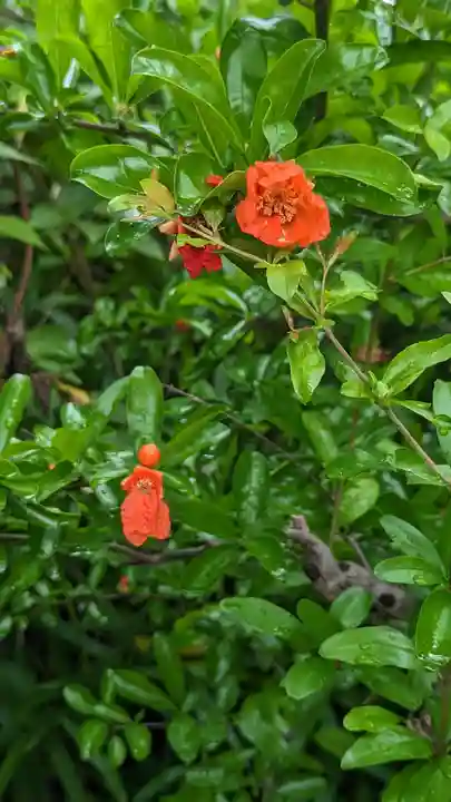 海印寺寂照院(京都府)