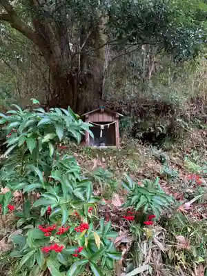 浅間神社(千葉県)