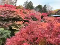 東福禅寺（東福寺）(京都府)