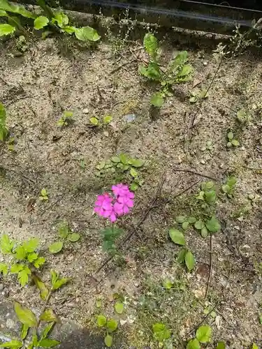 普賢寺(福島県)