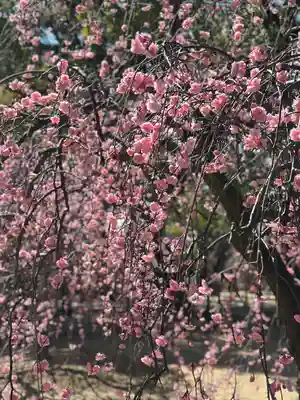 屯倉神社(大阪府)