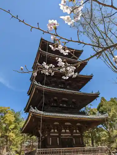 仁和寺のその他建物