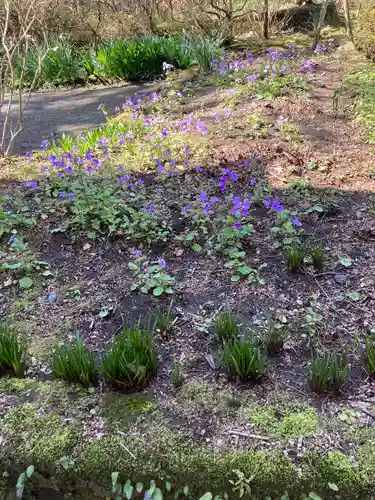 浄智寺(神奈川県)