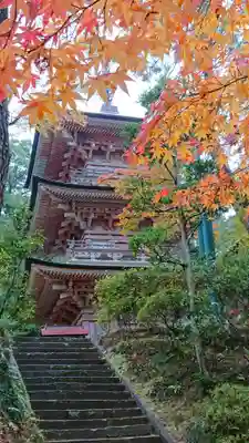 岩殿山安楽寺(吉見観音)の塔