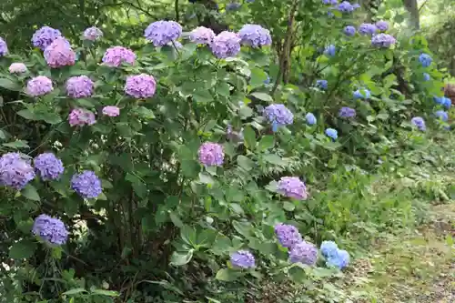 長屋神社の庭園