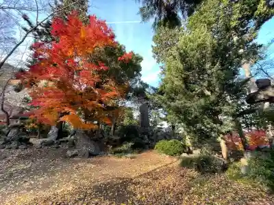 津島神社(岐阜県)