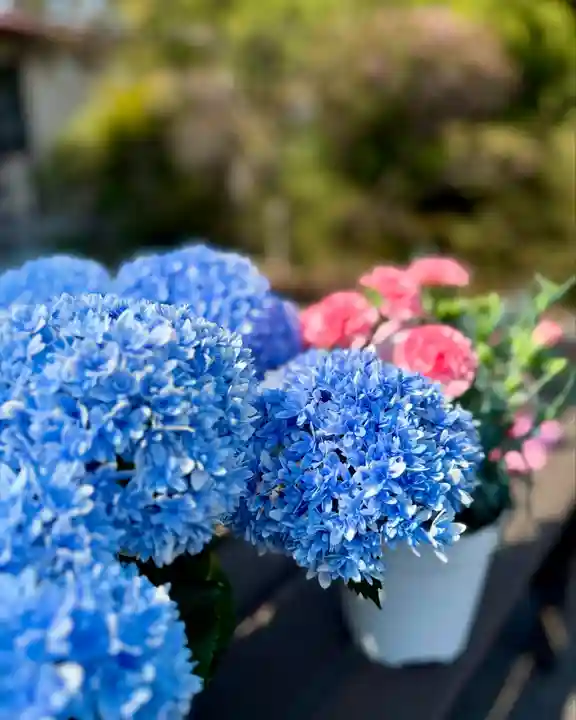 伊達神社(北海道)