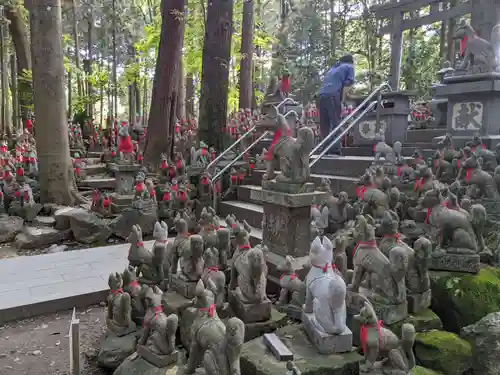 豊川閣　妙厳寺の狛犬