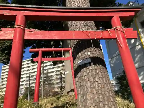 桜満観音(東京都)