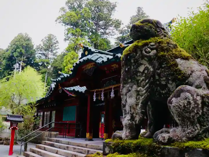 箱根神社の{uncategorized: "未分類", other: "その他", undefined: "問題あり", building: "その他建物", grave: "お墓", sacred_gate: "鳥居", guardian: "狛犬", statue: "像", buddha: "仏像", history: "歴史", nature: "自然", garden: "庭園", animal: "動物", pagoda: "塔", temizu: "手水舎", mountain_gate: "山門・神門", sanctuary: "本殿・本堂", subordinate: "末社・摂社", art: "芸術", scenery: "景色", jizo: "地蔵", ema: "絵馬", goshuin: "御朱印", omikuji: "おみくじ", items: "授与品その他", amulet: "お守り", goshuincho: "御朱印帳", eats: "食事", festival: "お祭り", votive_dance: "神楽", shichigosan: "七五三参", wedding: "結婚式", experience: "体験その他", initially: "初詣", around: "周辺", anti_infection: "感染症対策"}
