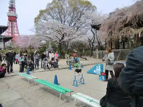 増上寺(東京都)