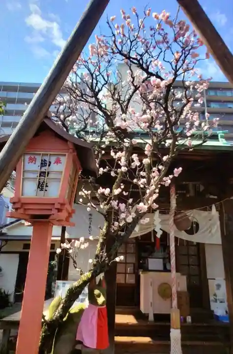 四谷於岩稲荷田宮神社(東京都)