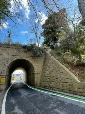 大杉弘法堂（弘法スギ）(滋賀県)